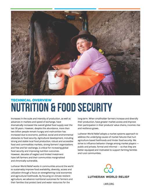 Nutrition and Food Security Technical Overview