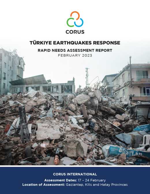 Türkiye Earthquakes - Rapid Needs Assessment Report